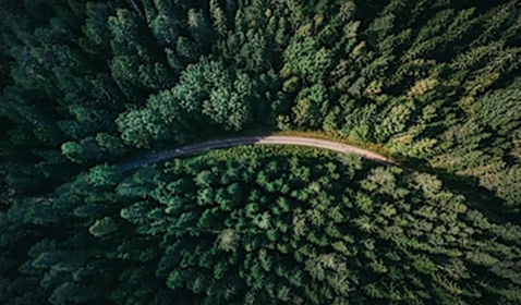 NDCs: Criação e implementação